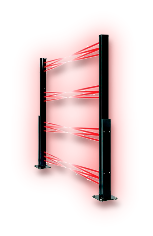 bir